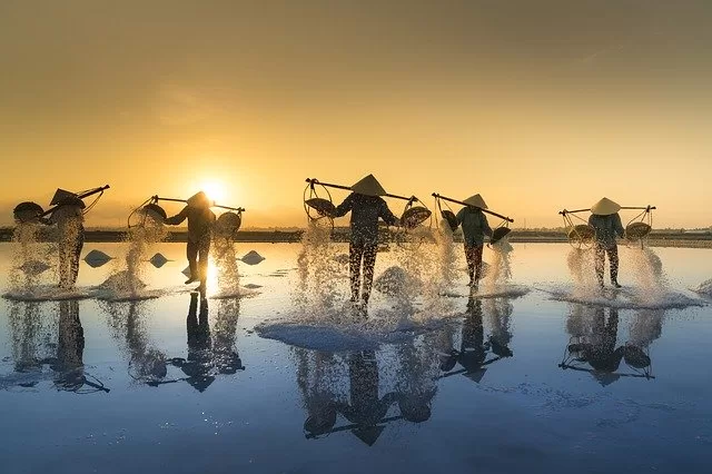 Singlereizen Vietnam