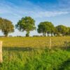 5 dg singlereis Fietsen door Bourgondisch Brabant
