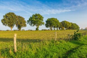 5 dg singlereis Fietsen door Bourgondisch Brabant