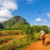 9 daagse singlereis Cuba Libre vanaf nov