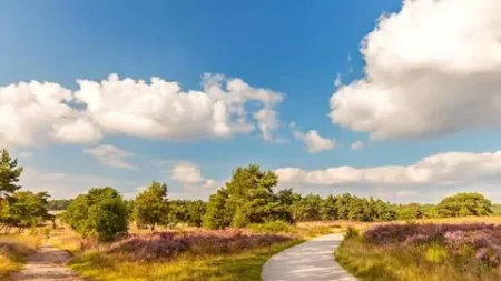 5 daagse singlereis Fietsen op de Veluwe