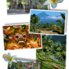 Fietsreis Bali & Lombok