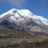 Rondreis Ecuador