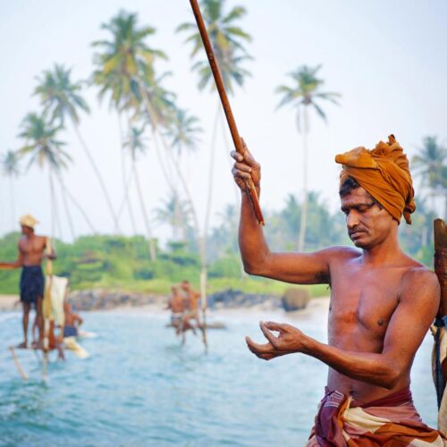 17 daagse singlereis Sri Lanka Klassiek