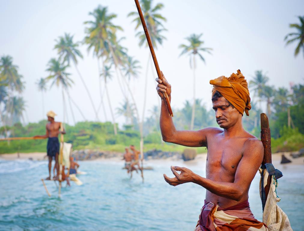 17 daagse singlereis Sri Lanka Klassiek