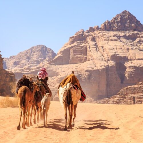 Alternative view of 8 daagse singlereis Cultuurschatten van Jordanië