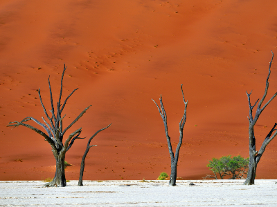 Single reis Zuidelijk Afrika in 3 weken; Kamperen tussen de nijlpaarden