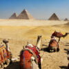 Single rondreis Egypte (2 weken) ; Van Noord naar Zuid