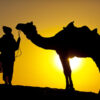 Single rondreis India Rajasthan (3 weken); Het land van de Maharadja's