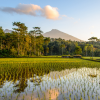 Rondreis Indonesië: Bali & Lombok (2 weken); Parels van de archipel
