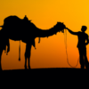 Rondreis India Rajasthan (3 weken); Het land van de Maharadja's